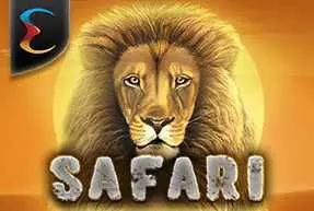 Safari - SpinCity - Zimbabwe
