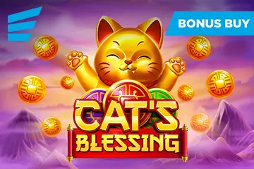 Cat's Blessing - SpinCity - Zimbabwe
