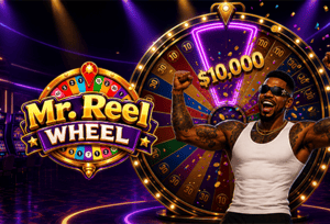 mr-realwheel - SpinCity - Zimbabwe