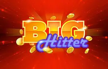 Big Hitter - SpinCity - Zimbabwe