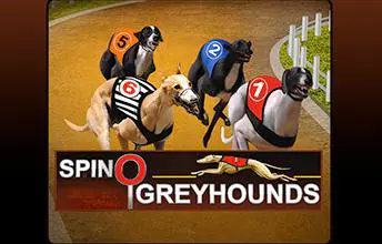 Spinosports-Greyhounds - SpinCity - Zimbabwe