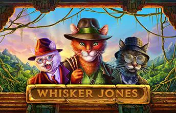 Whisker Jones - SpinCity - Zimbabwe