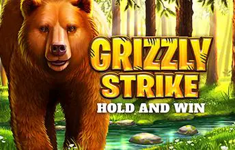 Grizzly Strike - SpinCity - Zimbabwe