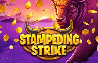 Stampeding Strike - SpinCity - Zimbabwe