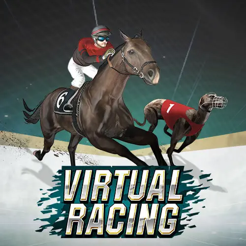 Virtual Racing - SpinCity - Zimbabwe