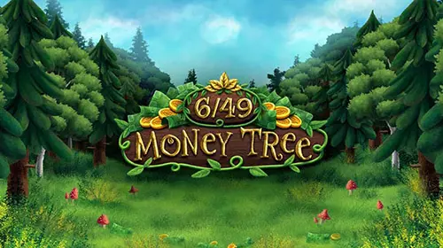 Money Tree - SpinCity - Zimbabwe