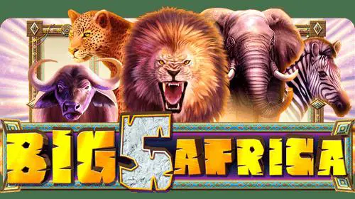 Big 5 Africa - SpinCity - Zimbabwe