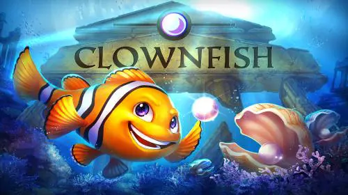 Clownfish - SpinCity - Zimbabwe