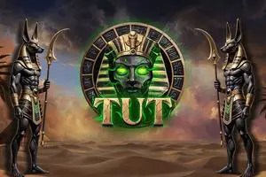 TUT - SpinCity - Zimbabwe