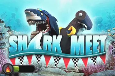 Shark Meet - SpinCity - Zimbabwe