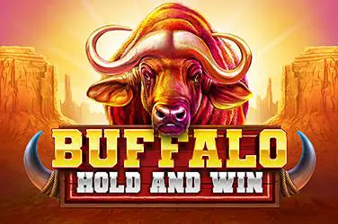 Buffalo Hold and Win - SpinCity - Zimbabwe