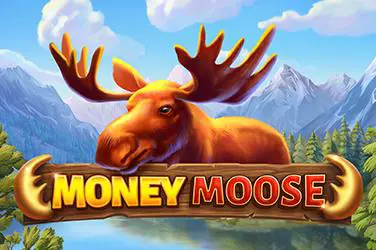 Money Moose - SpinCity - Zimbabwe