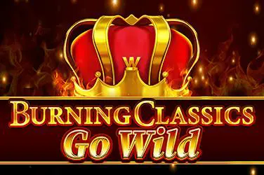 Burning Classics Go Wild - SpinCity - Zimbabwe