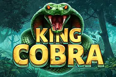 King Cobra - SpinCity - Zimbabwe