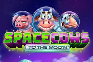 Space Cows to the Moon - SpinCity - Zimbabwe