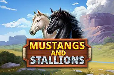 Mustangs and Stallions - SpinCity - Zimbabwe