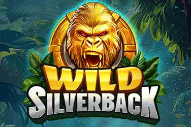 Wild Silverback - SpinCity - Zimbabwe