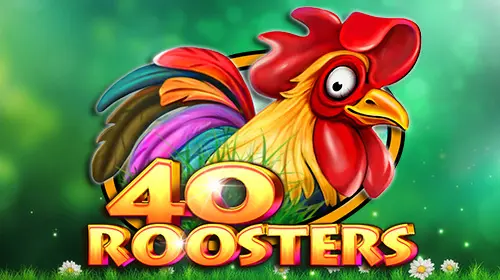 40 Roosters - SpinCity - Zimbabwe