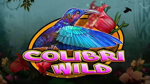 Colibri Wild - SpinCity - Zimbabwe