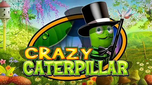 Crazy Caterpillar - SpinCity - Zimbabwe