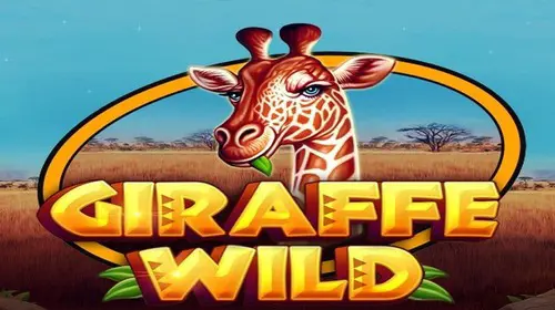 Giraffe Wild - SpinCity - Zimbabwe
