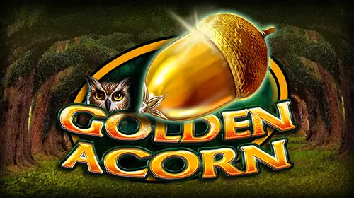 Golden Acorn - SpinCity - Zimbabwe