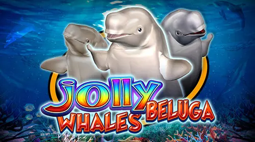 Jolly Beluga Whales - SpinCity - Zimbabwe