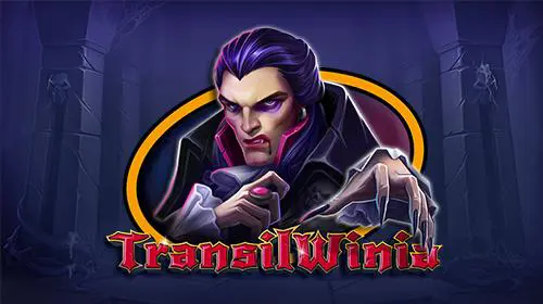 TransilWinia - SpinCity - Zimbabwe