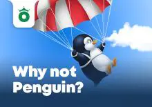 Why Not Penguin - SpinCity - Zimbabwe