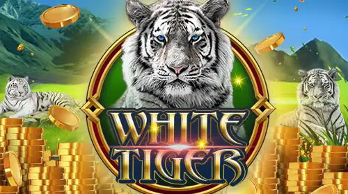 White Tiger - SpinCity - Zimbabwe