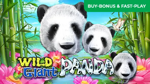 Wild Giant Panda - SpinCity - Zimbabwe