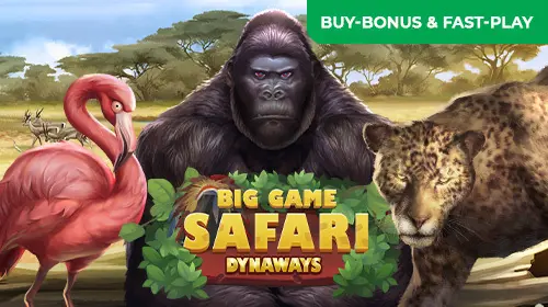 Big Game Safari - SpinCity - Zimbabwe
