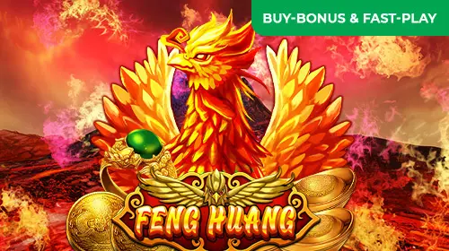 Feng Huang - SpinCity - Zimbabwe