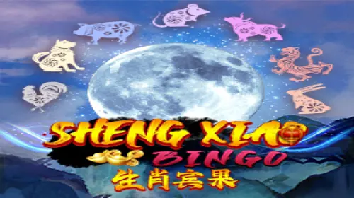 Sheng Xiao Bingo - SpinCity - Zimbabwe