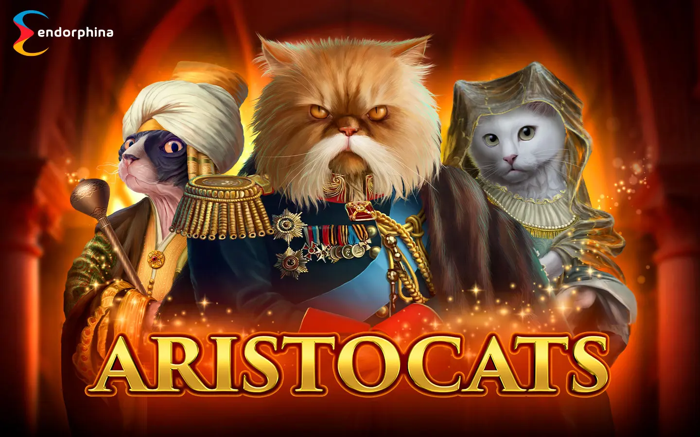 Aristocats - SpinCity - Zimbabwe