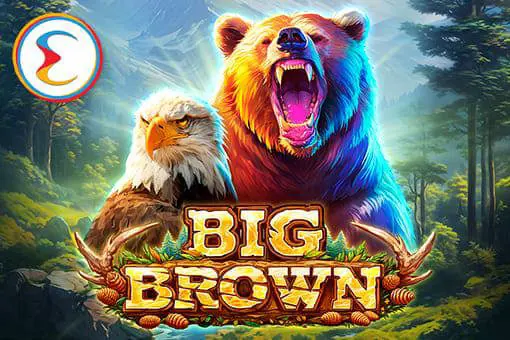 Big Brown - SpinCity - Zimbabwe