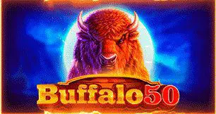 Buffalo 50 - SpinCity - Zimbabwe