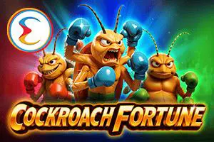 Cockroach Fortune - SpinCity - Zimbabwe