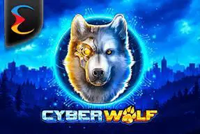 Cyber Wolf - SpinCity - Zimbabwe
