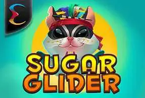 Sugar Glider - SpinCity - Zimbabwe