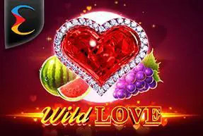 Wild Love - SpinCity - Zimbabwe