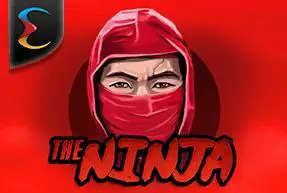Ninja - SpinCity - Zimbabwe
