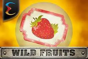 Wild Fruits - SpinCity - Zimbabwe