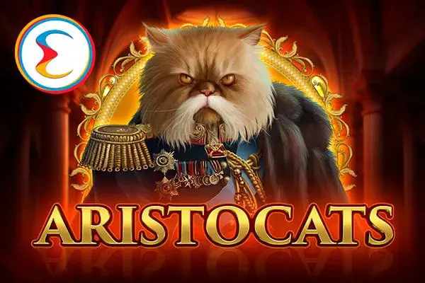 Aristocats - SpinCity - Zimbabwe