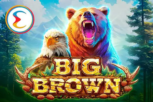 Big Brown - SpinCity - Zimbabwe