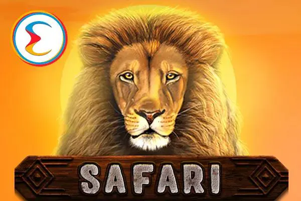 Safari - SpinCity - Zimbabwe