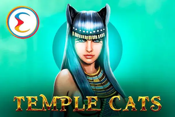 Temple Cats - SpinCity - Zimbabwe