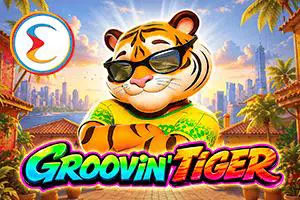 Groovin Tiger - SpinCity - Zimbabwe
