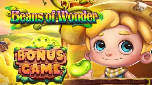 Beans of Wonder - SpinCity - Zimbabwe