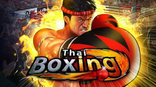 Thai Boxing - SpinCity - Zimbabwe